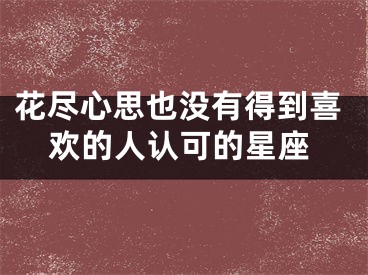 花尽心思也没有得到喜欢的人认可的星座