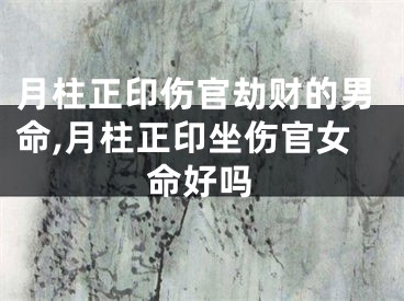 月柱正印伤官劫财的男命,月柱正印坐伤官女命好吗