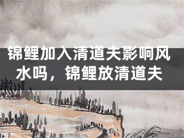 锦鲤加入清道夫影响风水吗，锦鲤放清道夫