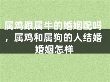 属鸡跟属牛的婚姻配吗，属鸡和属狗的人结婚婚姻怎样