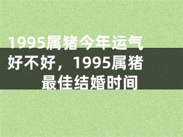 1995属猪今年运气好不好，1995属猪最佳结婚时间