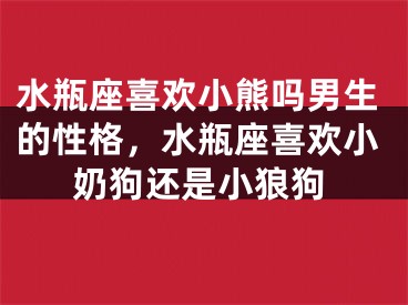 水瓶座喜欢小熊吗男生的性格，水瓶座喜欢小奶狗还是小狼狗