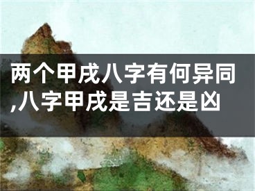 两个甲戌八字有何异同,八字甲戌是吉还是凶