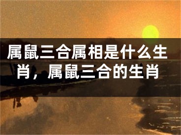 属鼠三合属相是什么生肖，属鼠三合的生肖