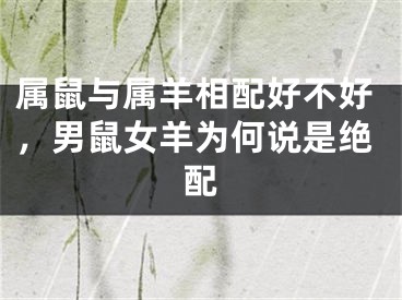 属鼠与属羊相配好不好,男鼠女羊为何说是绝配