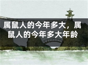 属鼠人的今年多大，属鼠人的今年多大年龄
