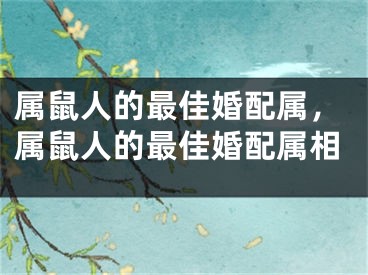 属鼠人的最佳婚配属，属鼠人的最佳婚配属相
