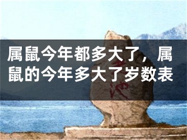 属鼠今年都多大了，属鼠的今年多大了岁数表