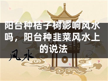 阳台种桔子树影响风水吗，阳台种韭菜风水上的说法