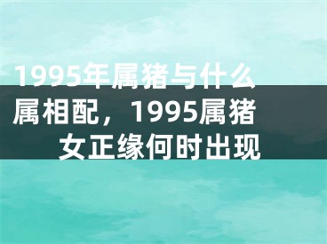 1995年属猪与什么属相配，1995属猪女正缘何时出现