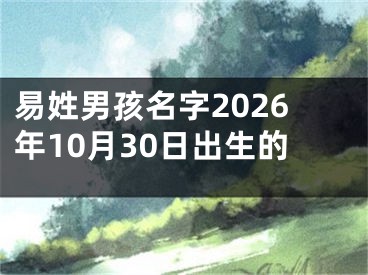 易姓男孩名字2026年10月30日出生的