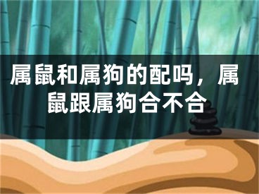 属鼠和属狗的配吗，属鼠跟属狗合不合