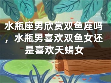 水瓶座男欣赏双鱼座吗，水瓶男喜欢双鱼女还是喜欢天蝎女