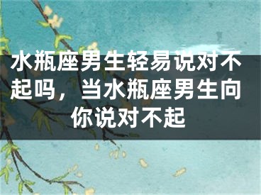 水瓶座男生轻易说对不起吗，当水瓶座男生向你说对不起