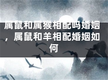 属鼠和属猴相配吗婚姻，属鼠和羊相配婚姻如何