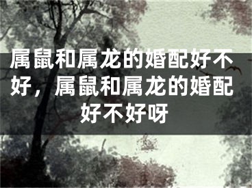 属鼠和属龙的婚配好不好，属鼠和属龙的婚配好不好呀