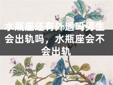 水瓶座还有外遇吗男生会出轨吗，水瓶座会不会出轨