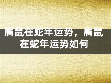 属鼠在蛇年运势，属鼠在蛇年运势如何