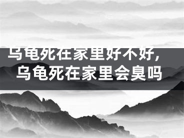 乌龟死在家里好不好,乌龟死在家里会臭吗