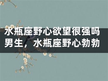 水瓶座野心欲望很强吗男生，水瓶座野心勃勃