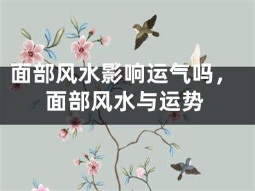 面部风水影响运气吗，面部风水与运势