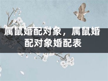 属鼠婚配对象，属鼠婚配对象婚配表
