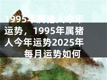 1995年属猪人今年运势，1995年属猪人今年运势2025年每月运势如何