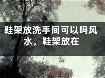 鞋架放洗手间可以吗风水，鞋架放在