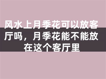风水上月季花可以放客厅吗，月季花能不能放在这个客厅里