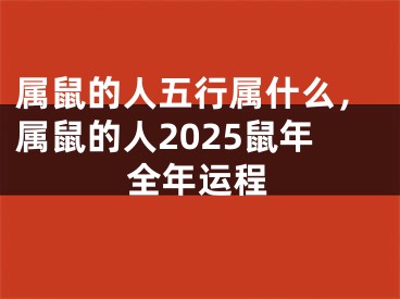 属鼠的人五行属什么，属鼠的人2025鼠年全年运程
