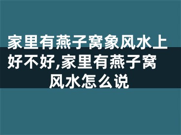 家里有燕子窝象风水上好不好,家里有燕子窝风水怎么说
