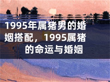 1995年属猪男的婚姻搭配,1995属猪的命运与婚姻