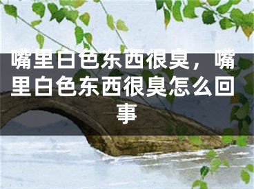 嘴里白色东西很臭，嘴里白色东西很臭怎么回事