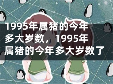 1995年属猪的今年多大岁数，1995年属猪的今年多大岁数了