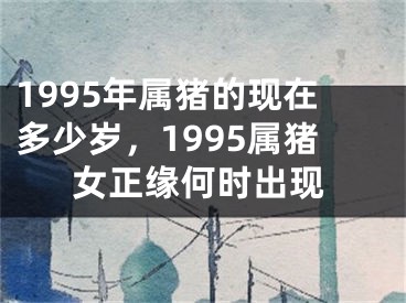 1995年属猪的现在多少岁，1995属猪女正缘何时出现