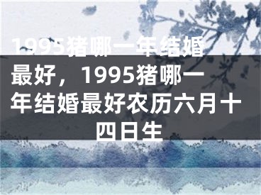 1995猪哪一年结婚最好,1995猪哪一年结婚最好农历六月十四日生