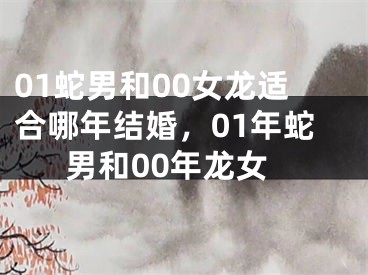 01蛇男和00女龙适合哪年结婚，01年蛇男和00年龙女