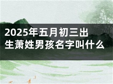2025年五月初三出生萧姓男孩名字叫什么