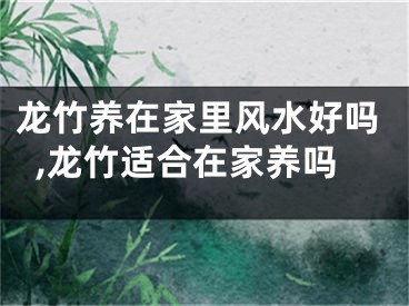 龙竹养在家里风水好吗,龙竹适合在家养吗