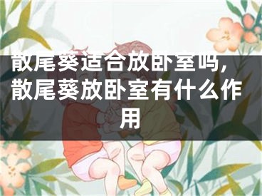 散尾葵适合放卧室吗,散尾葵放卧室有什么作用