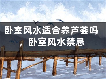 卧室风水适合养芦荟吗，卧室风水禁忌