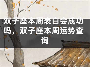 双子座本周表白会成功吗，双子座本周运势查询