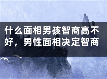 什么面相男孩智商高不好，男性面相决定智商