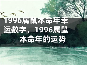 1996属鼠本命年幸运数字，1996属鼠本命年的运势