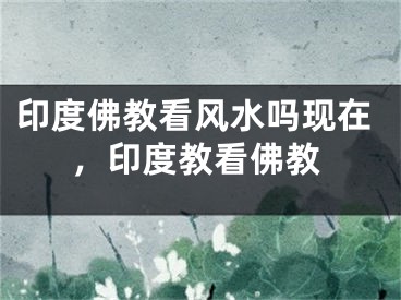 印度佛教看风水吗现在，印度教看佛教