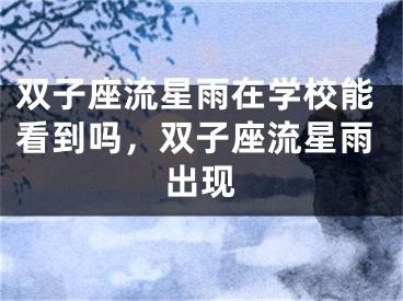 双子座流星雨在学校能看到吗,双子座流星雨出现