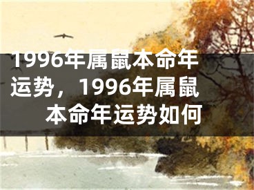 1996年属鼠本命年运势，1996年属鼠本命年运势如何