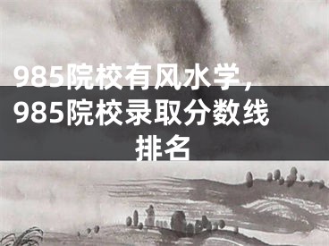 985院校有风水学，985院校录取分数线排名