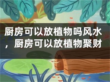 厨房可以放植物吗风水，厨房可以放植物聚财