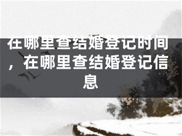 在哪里查结婚登记时间,在哪里查结婚登记信息